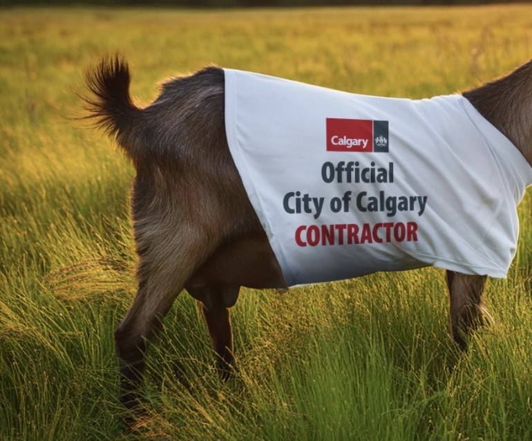 We don’t want to bleat our own drum, but something awesome is coming baaaaaaack tomorrow…