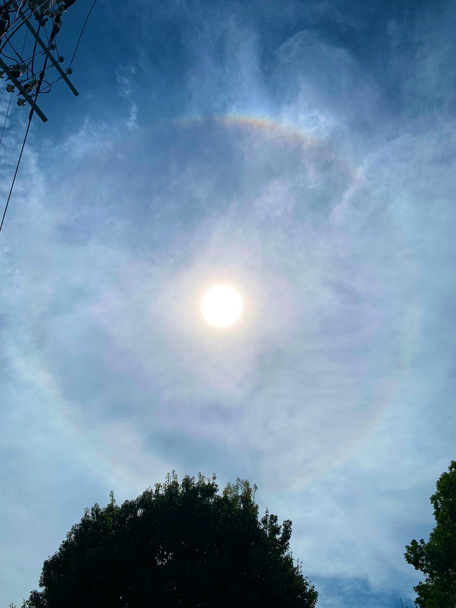 ９月、乾いた風が秋🍂の訪れを感じさせる頃になりましたね！本当に不安定な天候に振り回された今夏🌻でしたが皆様、お変わりなくお過ごしでいらっしゃいますでしょうか？秋晴れ☀️のような太陽の下、西藤中央公園では沢山の赤とんぼが飛んでました！今秋🍁スフレを食べにアマーティへお出かけ下さい☕️