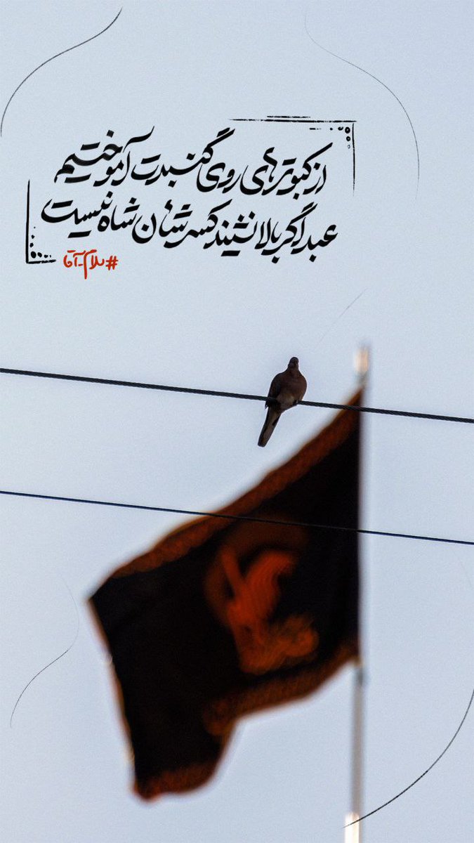 از کبوتر های روی گنبدت آموختیم 
عبد اگر بالا نشیند کسر شان شاه نیست.

#همه_خادم_الرضایيم