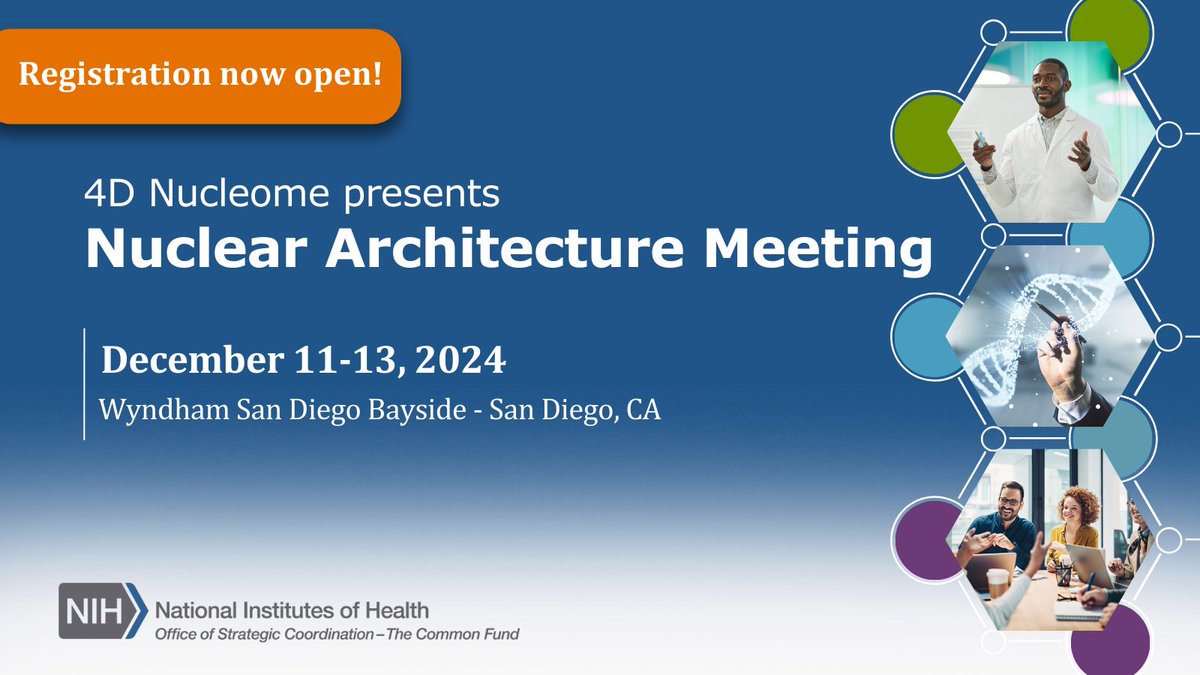 Only 1 more month to submit an abstract for the #4DNucleome Nuclear Architecture Meeting! It will be held Dec 11-13, 2024, in San Diego, CA. Be sure to submit your abstract before the Oct 4 deadline: bit.ly/3X9gha0. Trainees, students, and #postdocs encouraged to apply