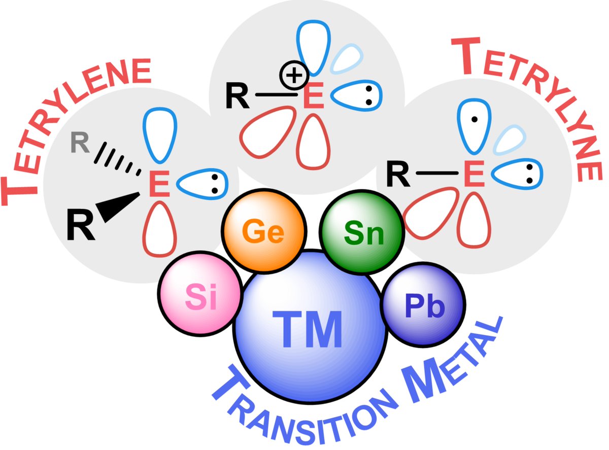 I've always looked for a comprehensive review of d-block tetrylene/yne chemistry, but it didn't exist...until now!! 🤩 

This took an entire year to put together, SUPER happy that this HUGE 96-page review is now published in <a href="/ChemSocRev/">Chem Soc Rev</a>, check it out 👇

tinyurl.com/mrymtnek