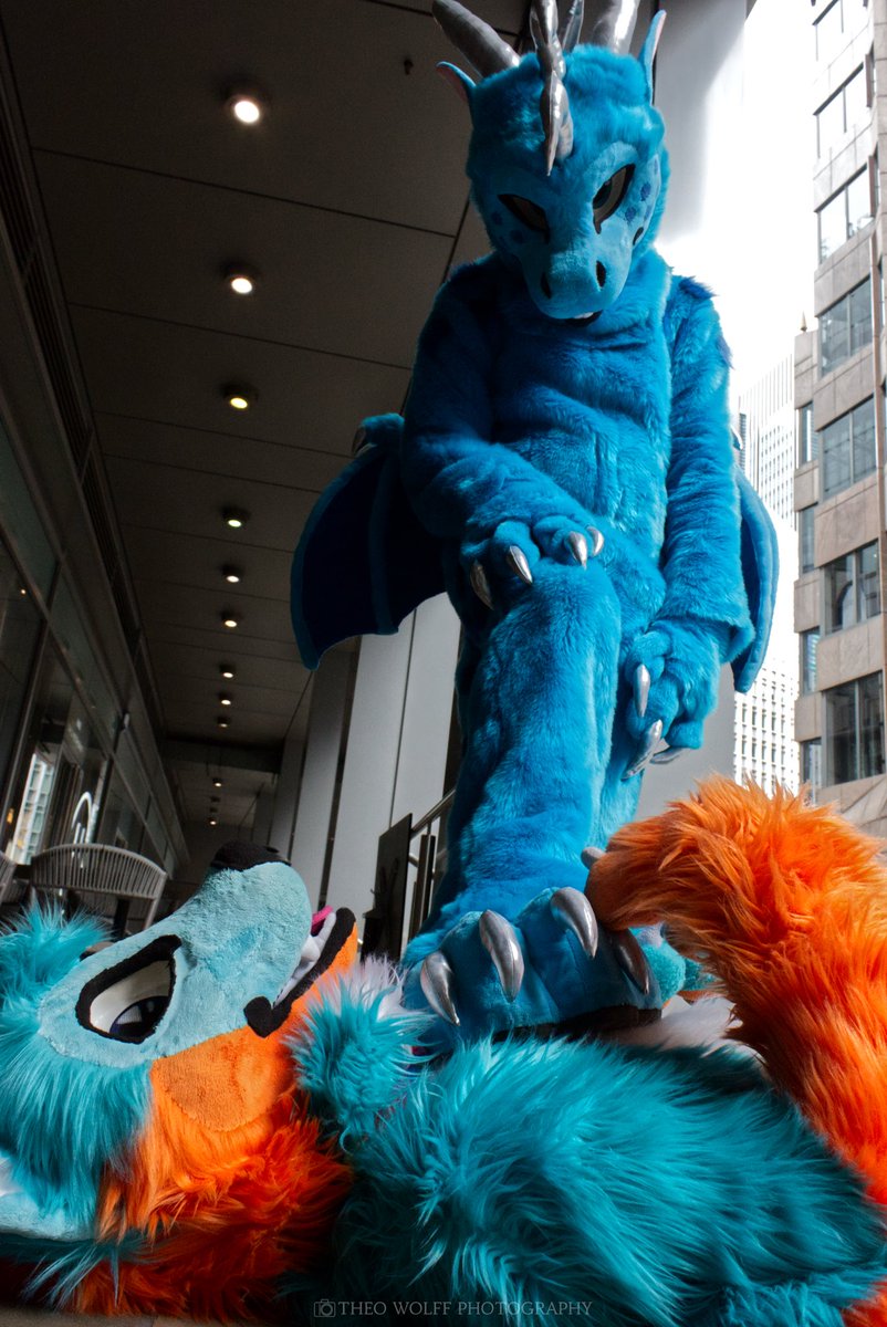 Husk (@derpyderphusko) on Twitter photo Seems like I’ve been put in my place by a very dommy dragon <a href="/BSilverscales/">Blueco Silverscales</a> I won’t be going anywhere soon oh well I kind of enjoyed it.
🧵<a href="/MarvelousMeep/">Meep's Marvelous Monstrosities</a>
📸 <a href="/TheoWolffPhotos/">Theo 🐺</a> Seems like I’ve been put in my place by a very dommy dragon <a href="/BSilverscales/">Blueco Silverscales</a> I won’t be going anywhere soon oh well I kind of enjoyed it.
🧵<a href="/MarvelousMeep/">Meep's Marvelous Monstrosities</a>
📸 <a href="/TheoWolffPhotos/">Theo 🐺</a>