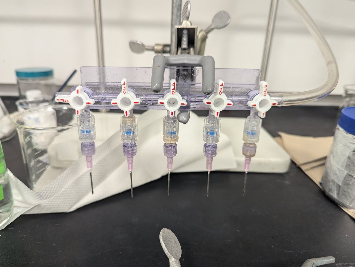 The Tidgewell Lab tweet media