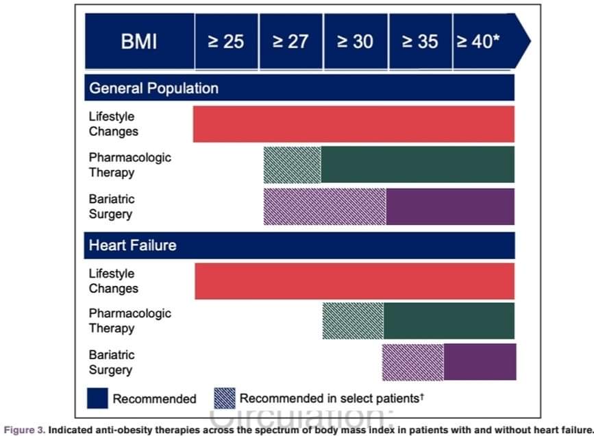 ZHeart11768530's tweet photo. 🔴Anti-obesity medications in people with heart failure: Current Evidence and Practical Guidance #2024Review
🔹https://t.co/gMDXe5rKJo
#EKG #Multifocal #ECG #Cardiology #MAT #Atrial #Tachycardia #Diagnosis #comparison #electrocardiogram #Arrhythmias #ekg #clinical #ekg https://t.co/yGH4EVhqX4