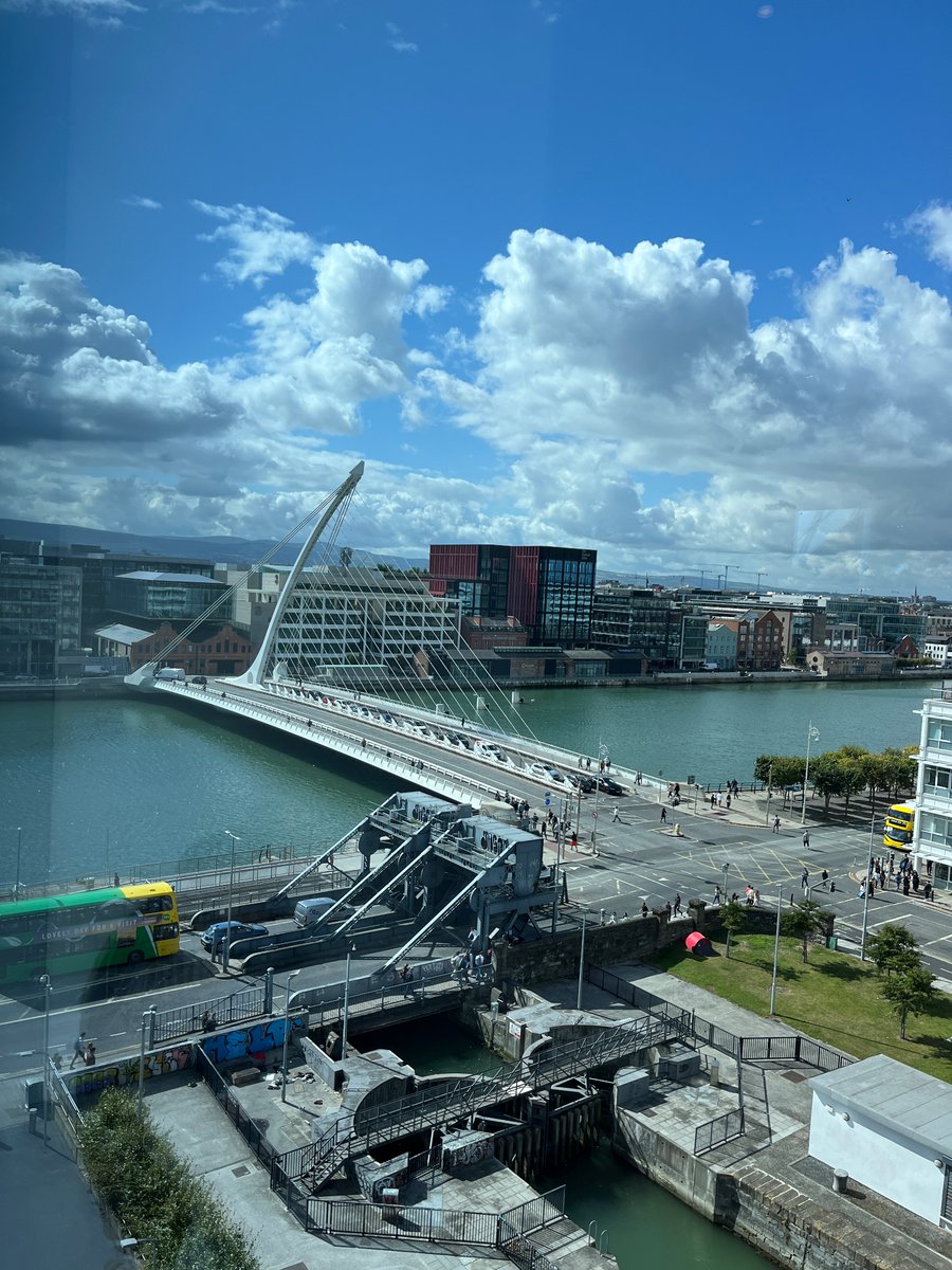 Andreea Petrasca, PhD tweet media