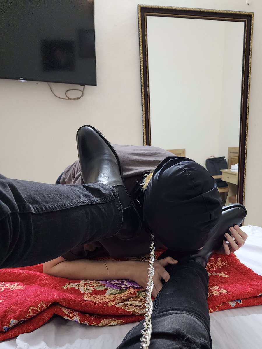 davidphan0's tweet image. Gâu gâu 🐶