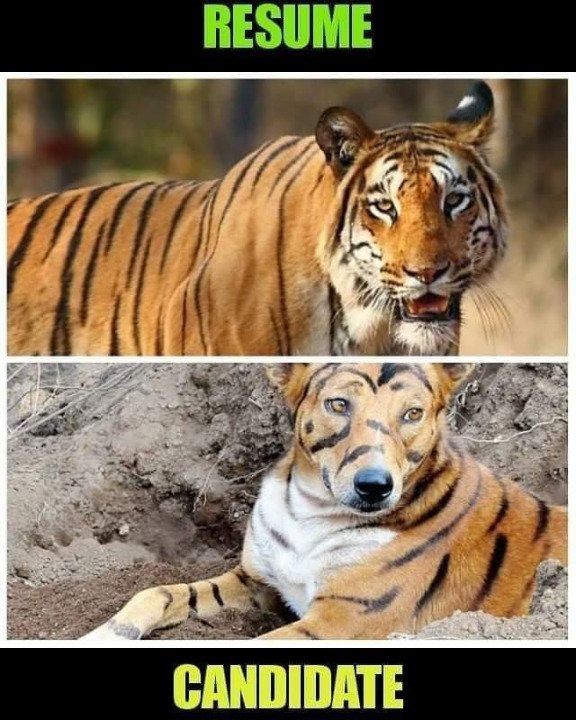 Anshul6395's tweet image. 😂😂