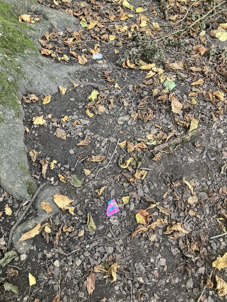 ash 🇵🇸 tweet media