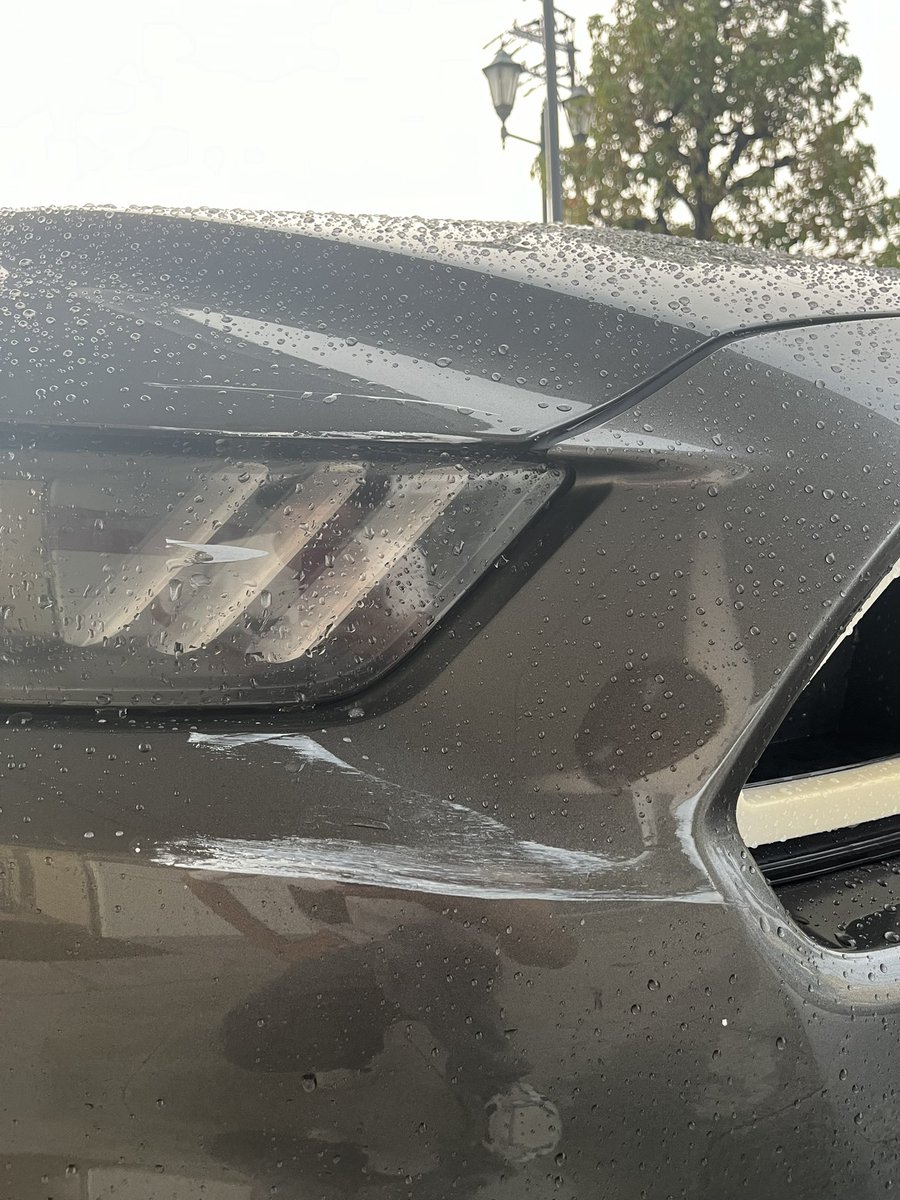 まさか擦っちゃうとはなあ、ほんとショック