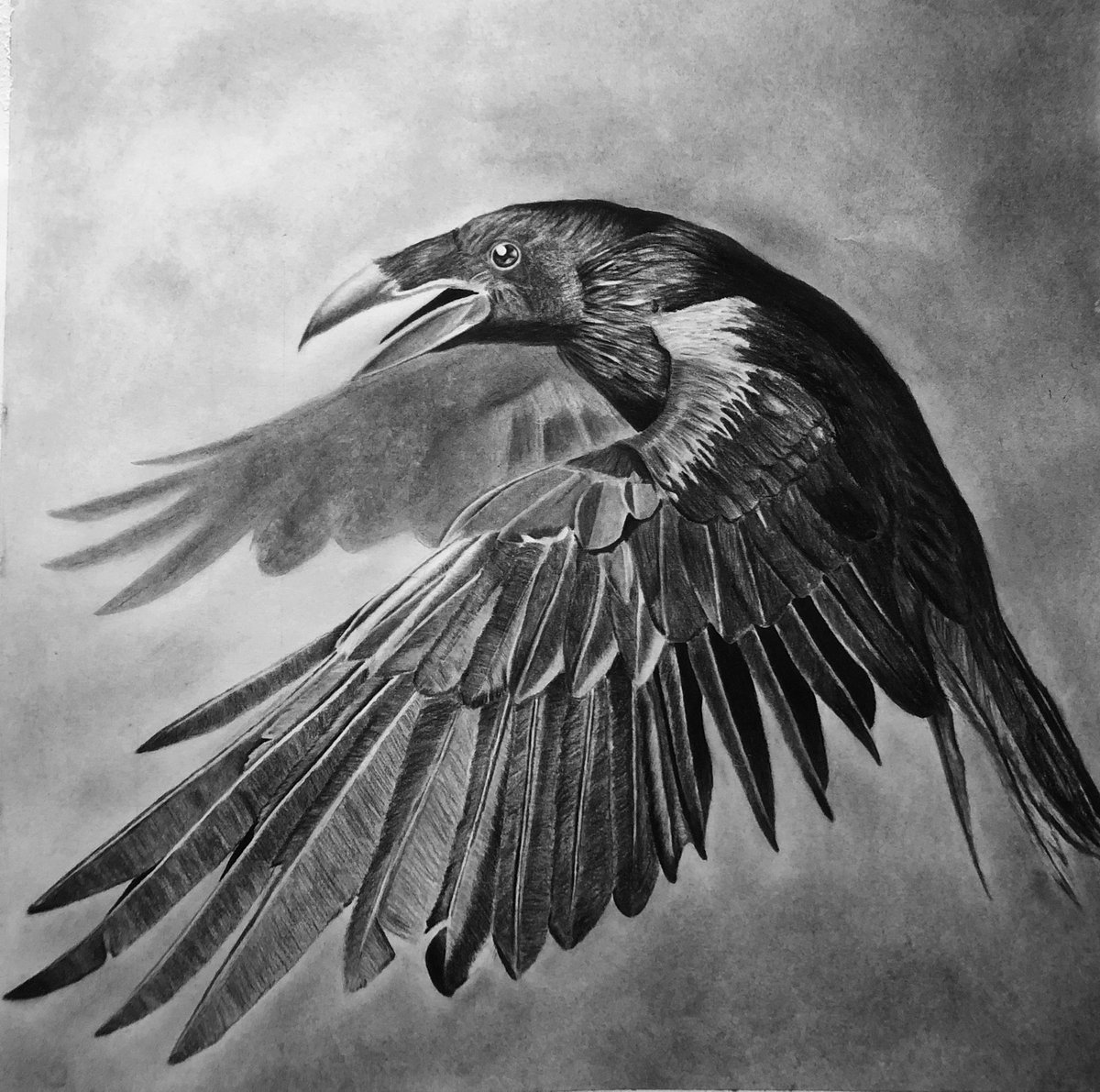 duxies_art's tweet image. "I drew that bird"🐦⬛