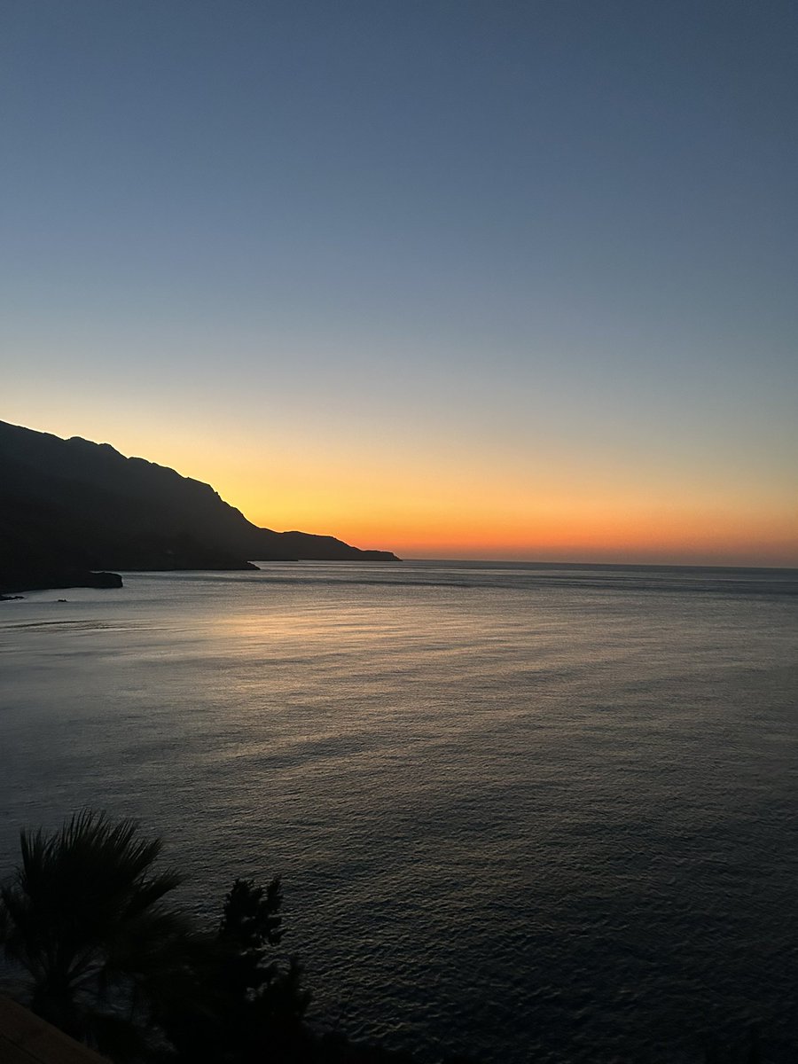 Humans saw this and invented Cardano