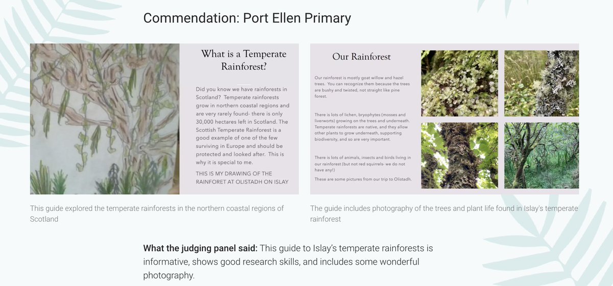 Port Ellen Primary School (@portellenps) on Twitter photo P67 have been commended in the <a href="/kewgardens/">KewGardens</a> Endeavour competition on the Secret Life of Trees. The judges said "This guide to Islay’s temperate rainforests is informative, shows good research skills, and includes some wonderful photography." 😊🌲🌳 <a href="/abc_OCTF/">Argyll and Bute Council Education Service</a> <a href="/STEMedscot/">STEM @ Education Scotland</a> P67 have been commended in the <a href="/kewgardens/">KewGardens</a> Endeavour competition on the Secret Life of Trees. The judges said "This guide to Islay’s temperate rainforests is informative, shows good research skills, and includes some wonderful photography." 😊🌲🌳 <a href="/abc_OCTF/">Argyll and Bute Council Education Service</a> <a href="/STEMedscot/">STEM @ Education Scotland</a>