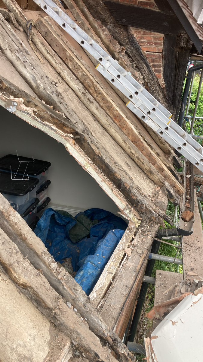 Adam Lynch tweet media