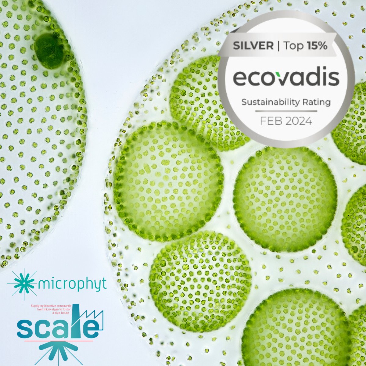 🏅 Microphyt Awarded EcoVadis Label for Exemplary Corporate Social Responsibility 🏅

To discover more about this, read Microphyt’s article: microphyt.eu/microphyt-achi…

#CSR #Sustainability #EcoVadis #CorporateResponsibility #Microphyt #EthicalBusiness