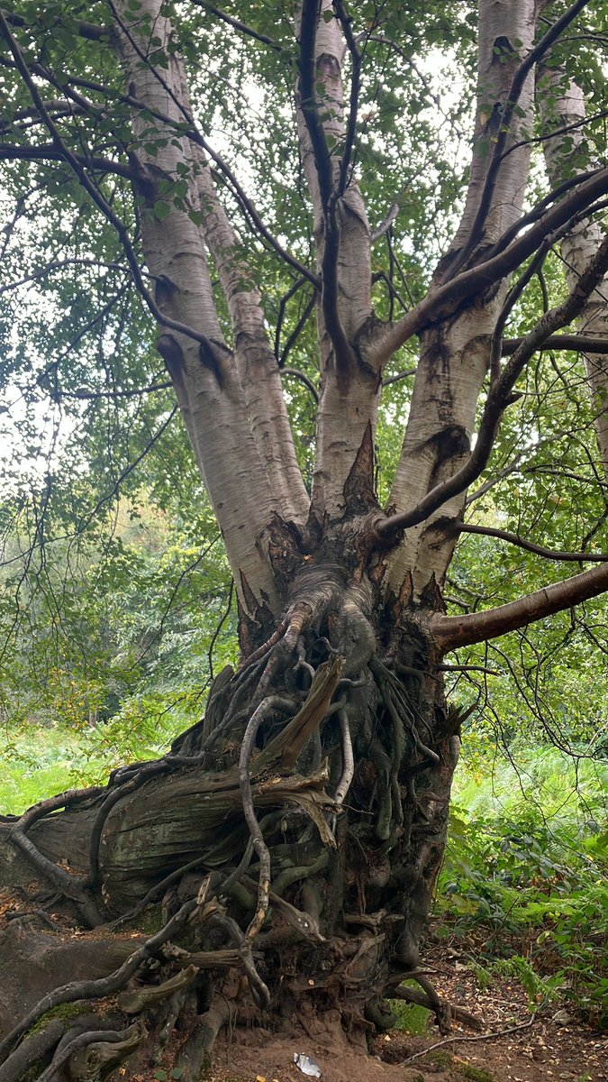 Jack Taylor tweet media