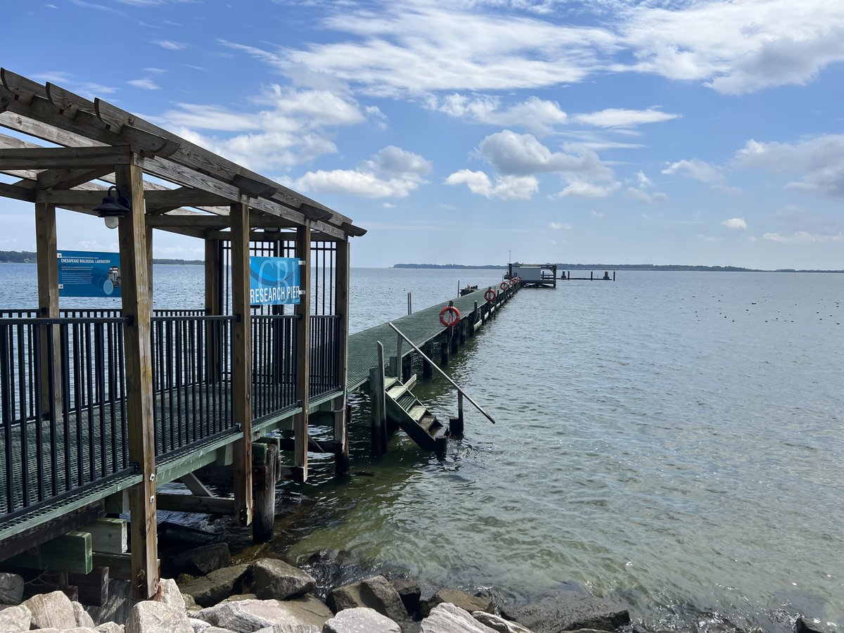 Mark your fall calendars now for an <a href="/UMCES/">UMCES</a> #OpenHouse near you! The Chesapeake Biological Laboratory in #Solomons will hold its annual open house on Saturday, Sept. 7, and the Horn Point Laboratory in #Cambridge will open its doors Saturday Oct. 12: loom.ly/l02c5jo