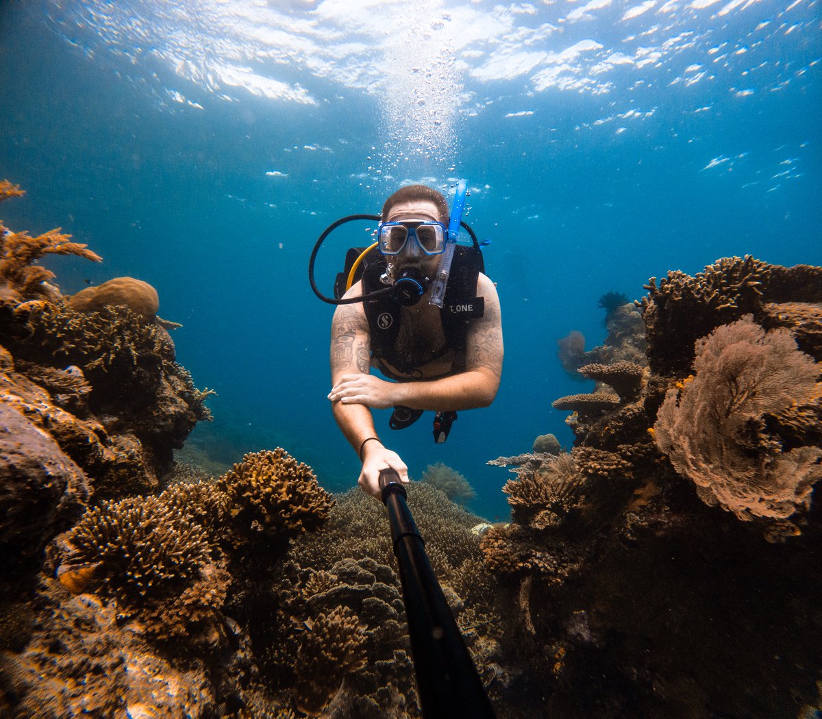 Alesha & Jarryd tweet media