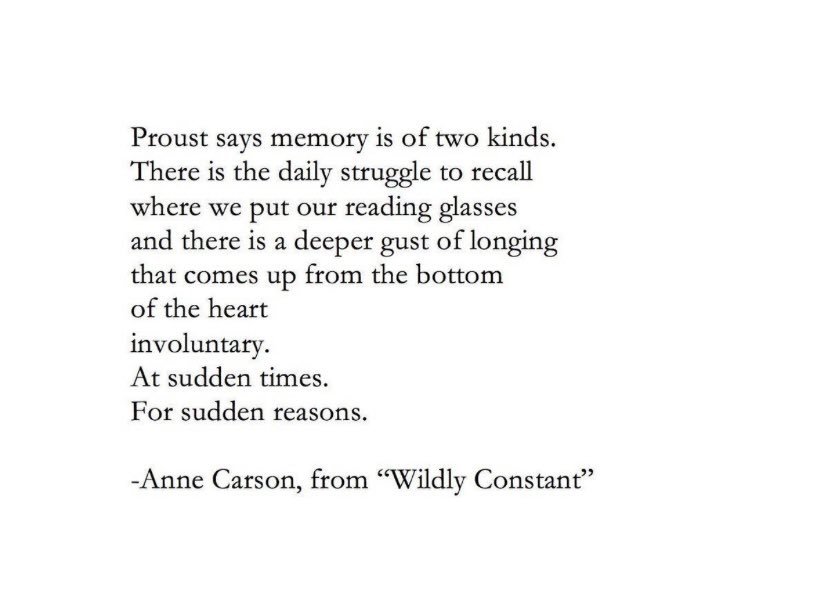 Dr. Maya C. Popa (@mayacpopa) on Twitter photo 