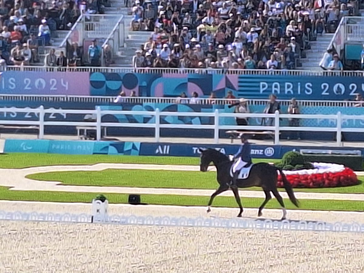 Semaine de folie à l'Erea Jean Monnet, déplacer 200 élèves pour 14 épreuves tous les jours, 3 ou 4 épreuves par jour ! Un défi et une organisation de dingue mais tellement de bonheur dans les yeux de nos élèves. Les jeux paralympiques sont extraordinaires !