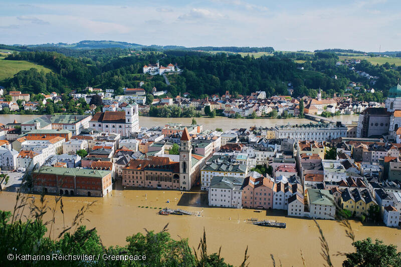 Greenpeace EU tweet media