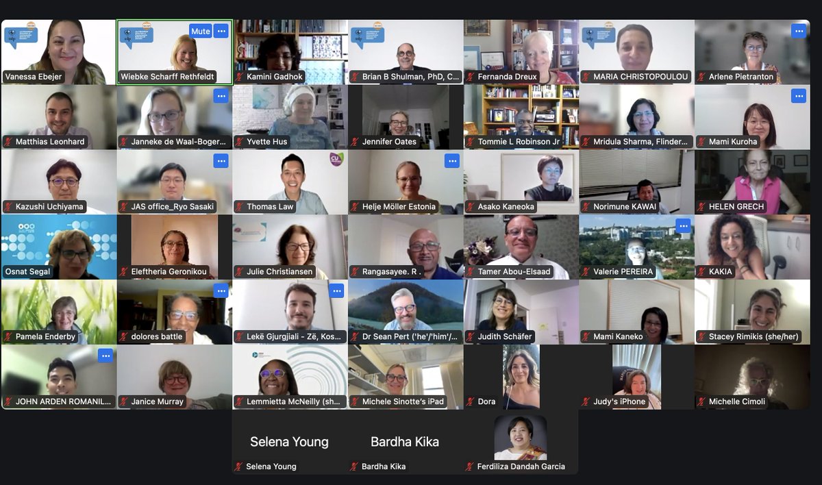 Just a brief glimpse of some of the attendees at today's #IALP General Assembly. It was good to see everyone and hearing about how our volunteers are keeping up the excellent work. Well done everyone!
Our next GA will be in person - 26 August 2025 in Malta