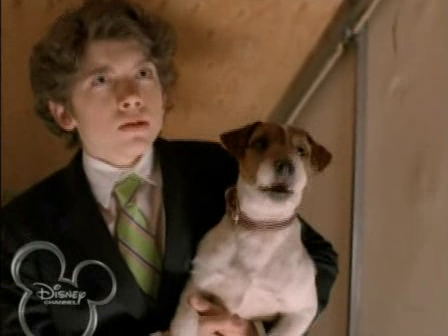 Disney_Wiki's tweet photo. Happy Birthday, Carter Jenkins
For Disney, he portrayed Preston Price in the 2005 Disney Channel movie, #LifeIsRuff. https://t.co/jgoC6fuOlT