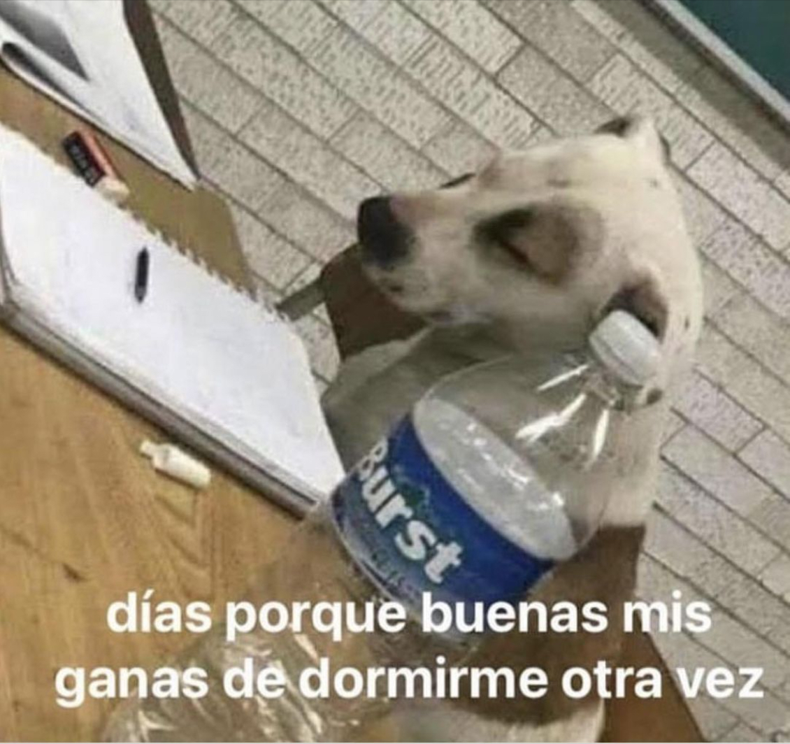 Guarromantico_'s tweet image. Días.