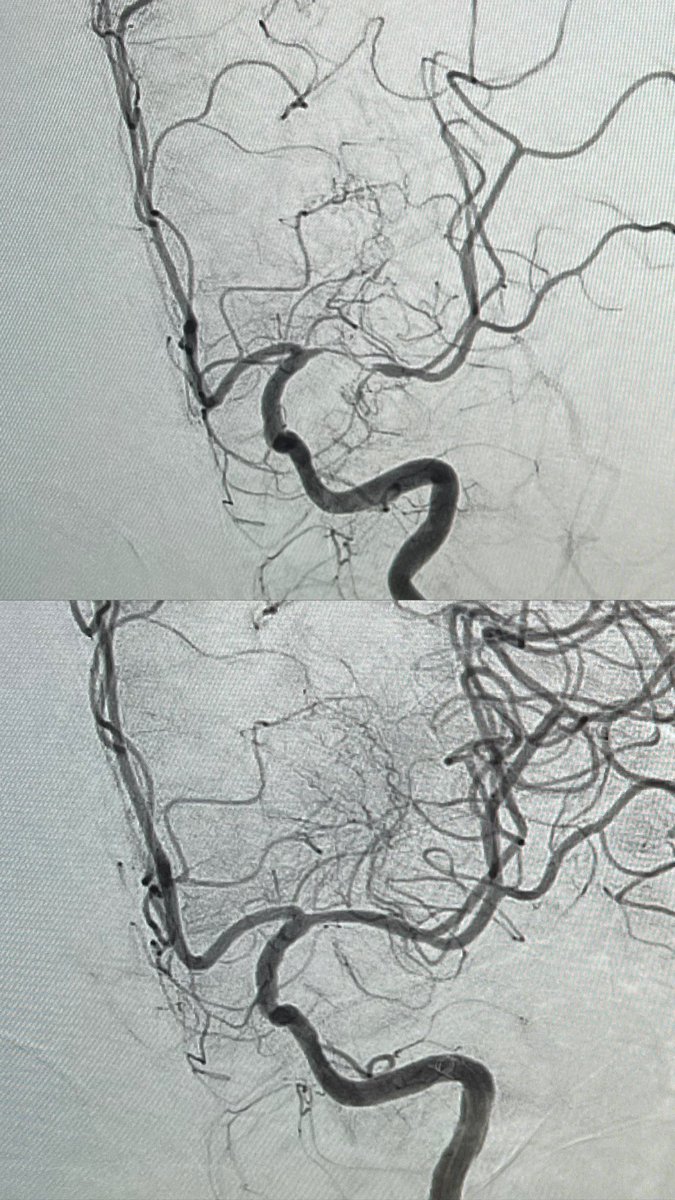 Todos los días es el peor día de la vida de alguien y todos los días intento ser la persona que me gustaría que mis seres queridos se encontraran si ellos estuvieran enfermos. No veo otro camino.
