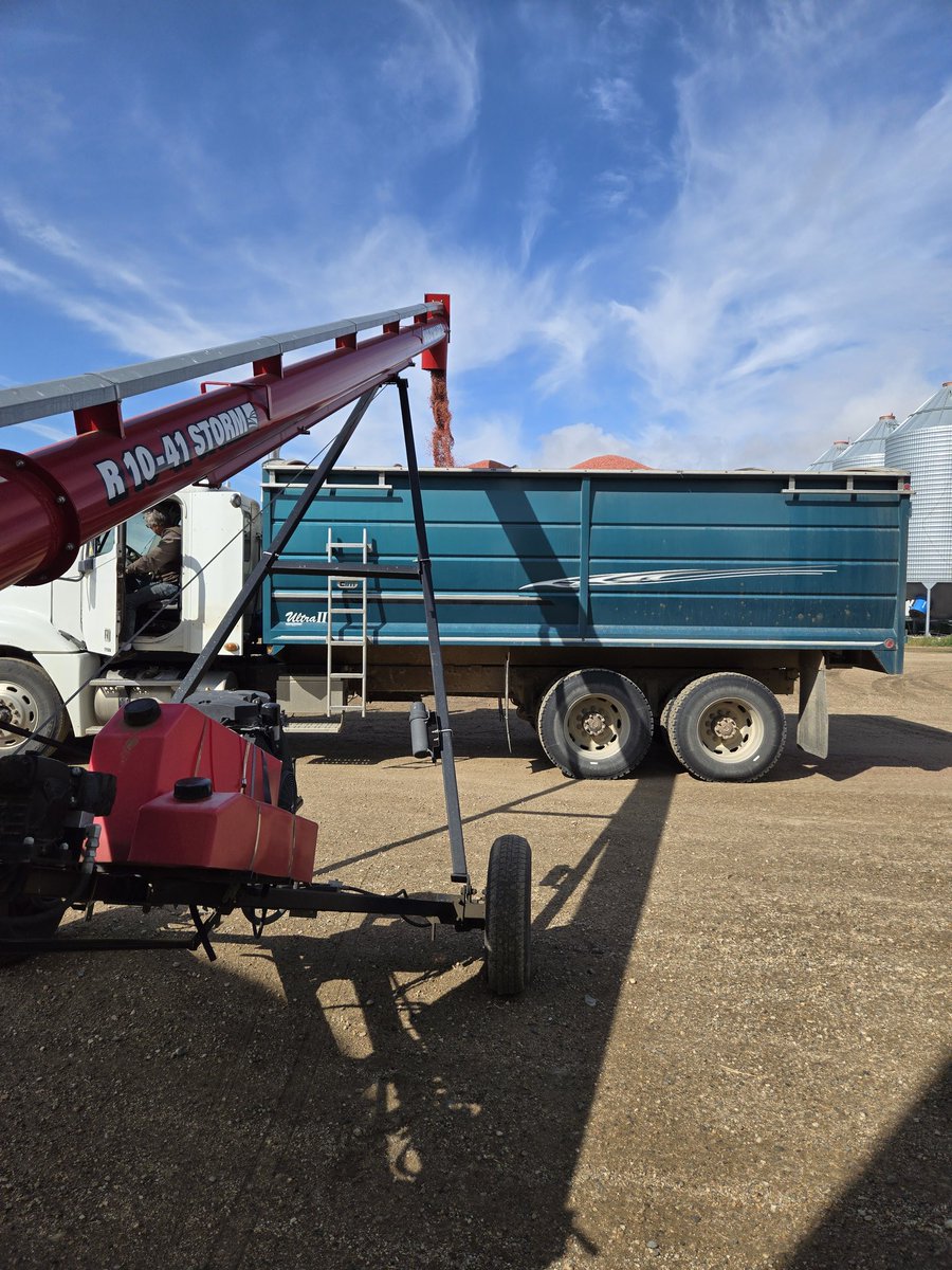 Randy Toman tweet media