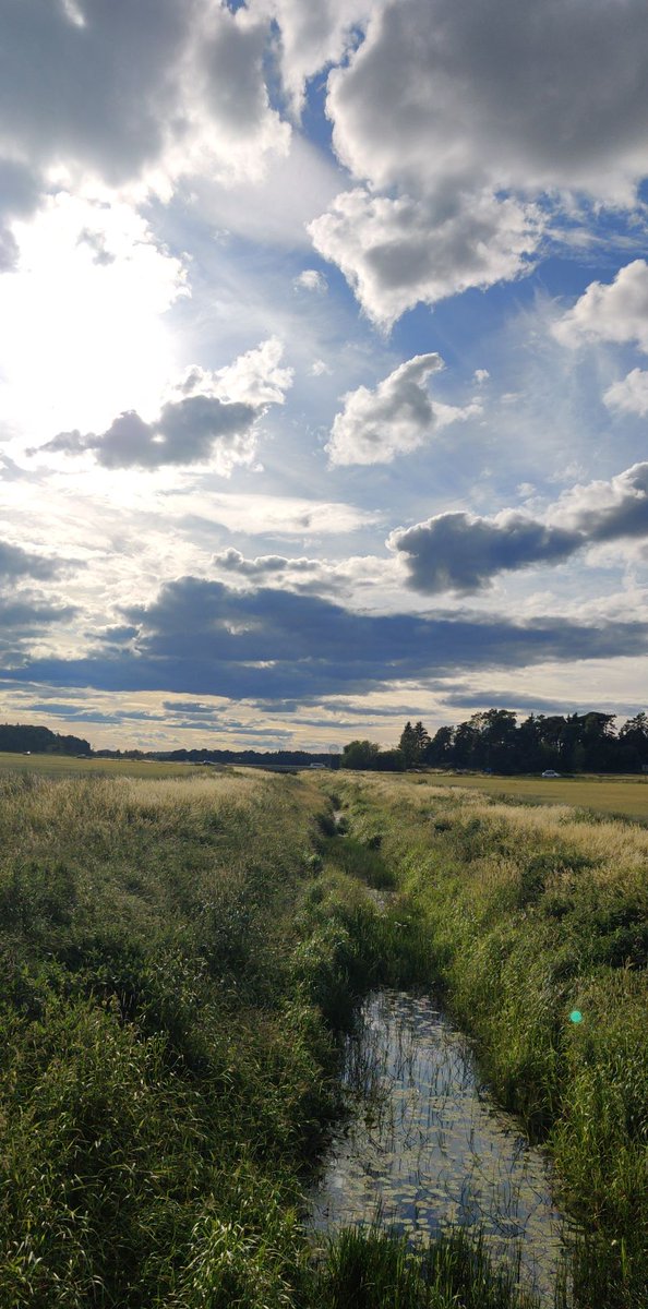 Shacozzi's tweet image. out and about