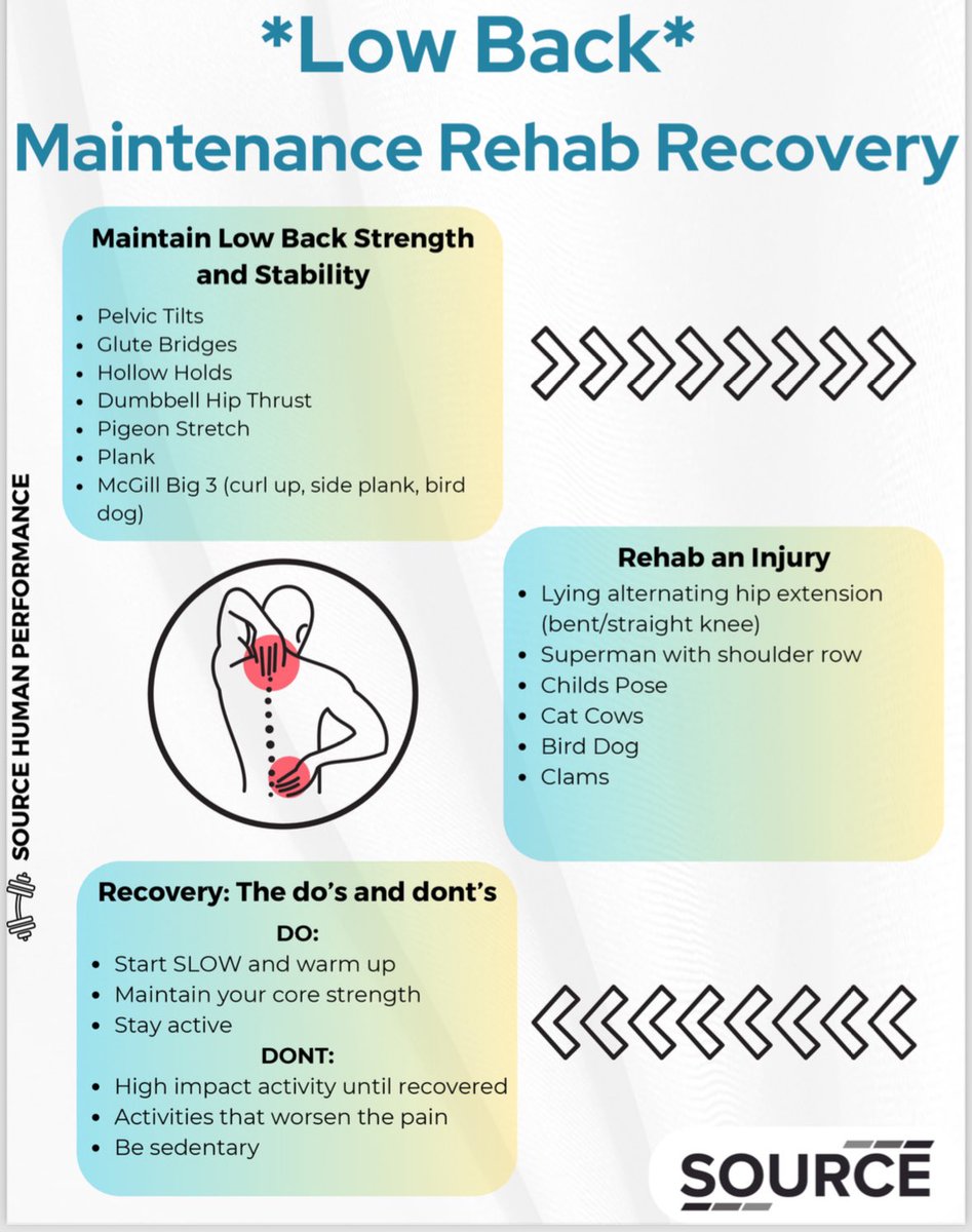 Low Back giving you trouble? Check out our maintenance and rehab protocols! ✨Human Performance Committee✨