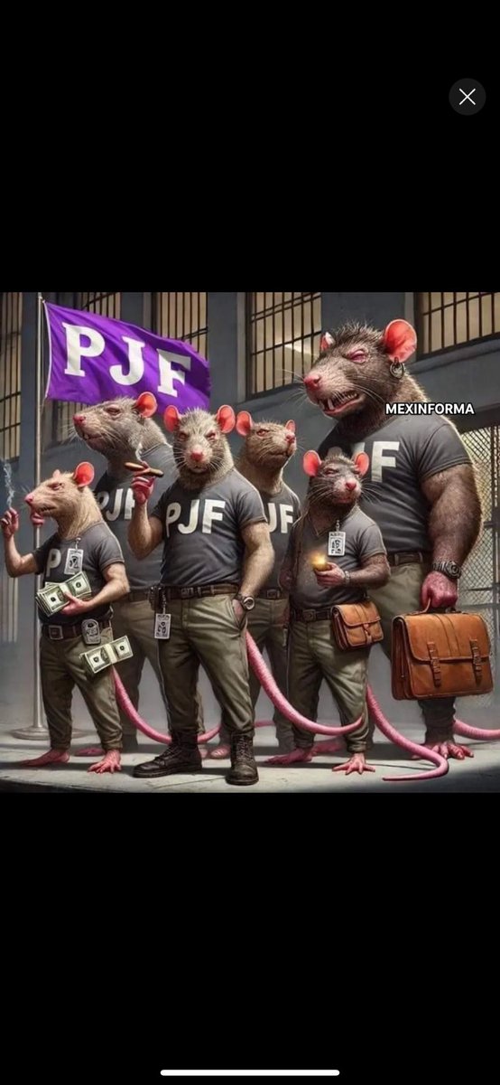 cesmorenabella's tweet image. Quieren gente &quot;estudiada&quot; para esto? Para los privilegiados de escuela de paga qué ni terminaron su carrera, ah pero que tienen a sus familiares y aun así ocupan un cargo público, #SiALaReformaAlPoderJudicial