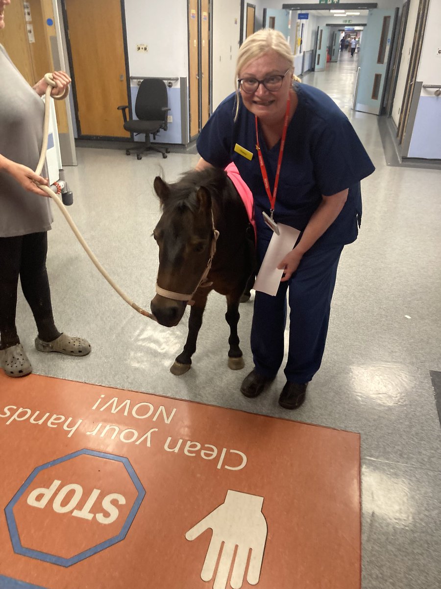 Not every day you meet a pony in the corridor ❤️