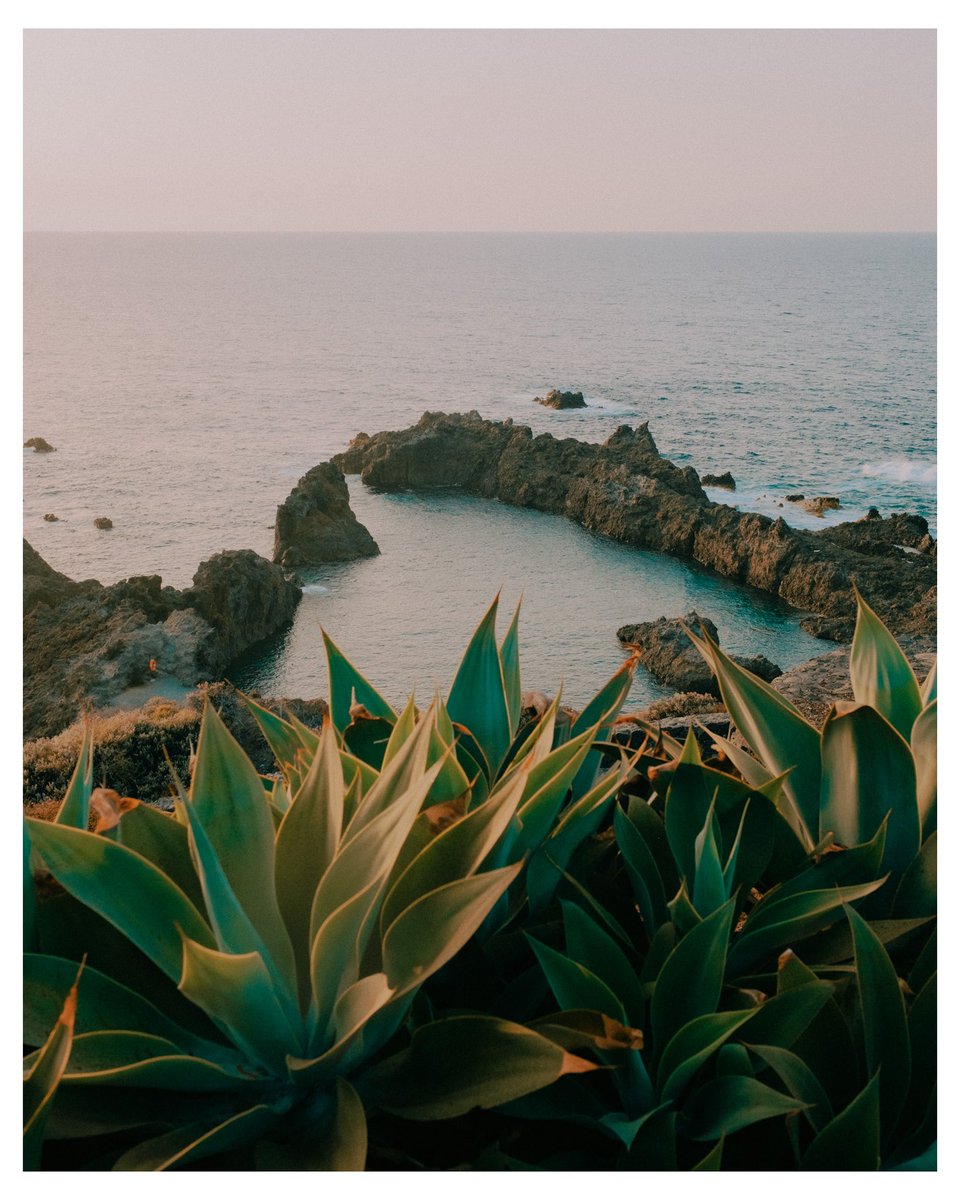 Summer series with my Fuji XT5 🎞️