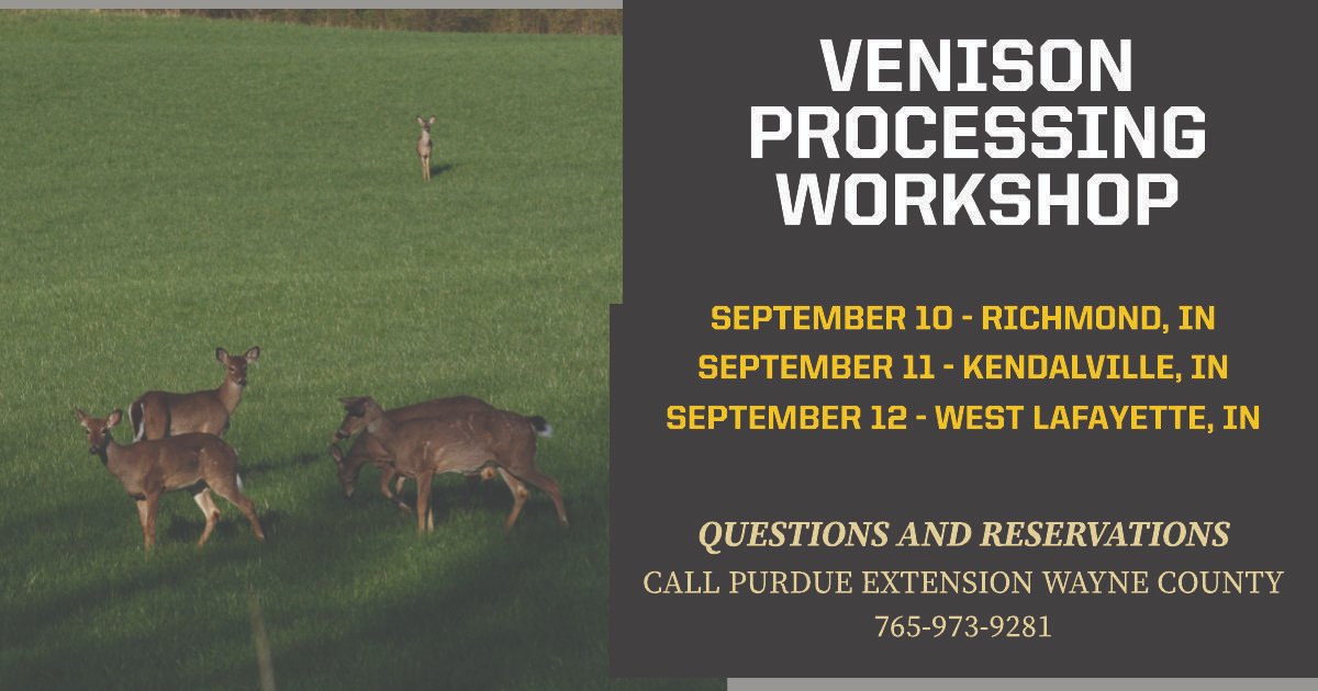 Purdue Extension (@purdueextension) on Twitter photo Master venison processing with #PurdueExtension and <a href="/INFishWildlife/">IN Fish & Wildlife</a>! 🦌Join us on this month for one of our hands-on workshops. Get tips on butchering and cooking, plus taste delicious recipes. contact the Wayne County Extension office (765-973-9281) to reserve your spot! Master venison processing with #PurdueExtension and <a href="/INFishWildlife/">IN Fish & Wildlife</a>! 🦌Join us on this month for one of our hands-on workshops. Get tips on butchering and cooking, plus taste delicious recipes. contact the Wayne County Extension office (765-973-9281) to reserve your spot!