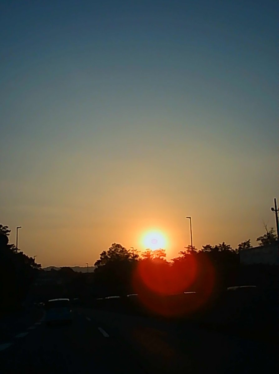 KOhirune's tweet image. 全く画質よくないし、ゴーストとかスゴいけど、それがいい…
キーホルダーにはちょっと大きいけど、気楽に持ち運べて👍
#PIENIFLEX