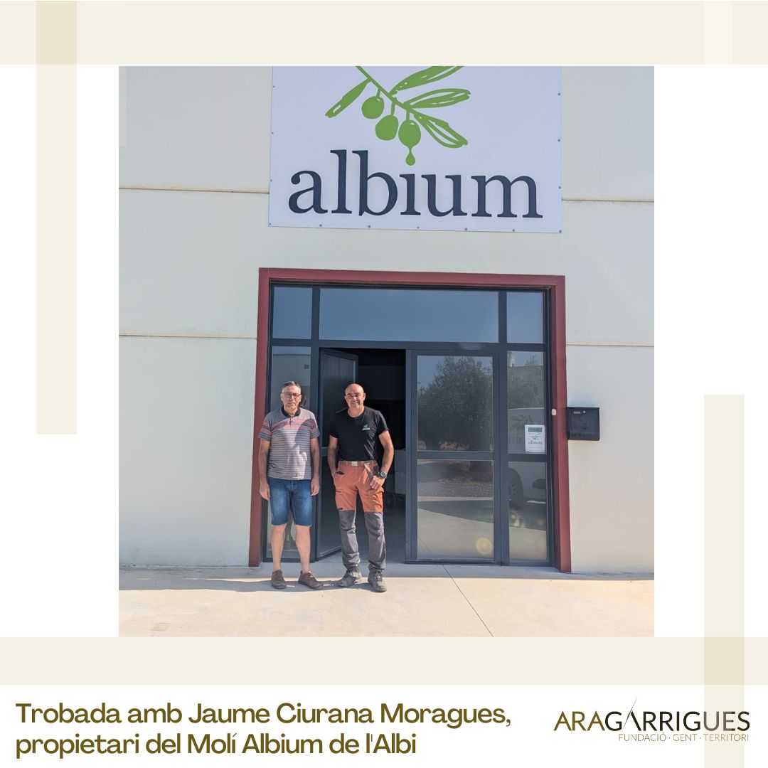 Ens reunim amb els responsable del molí d'oli Albium! Explorant projectes per fomentar la cultura de l'oli el desenvolupament socioecòmic de #LesGarrigues. 🌱🤝 #DesenvolupamentLocal #FundacioAraGarrigues #OleumFlumen aragarrigues.com/blog/2024/09/0…