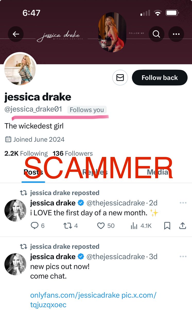 jessica drake tweet media
