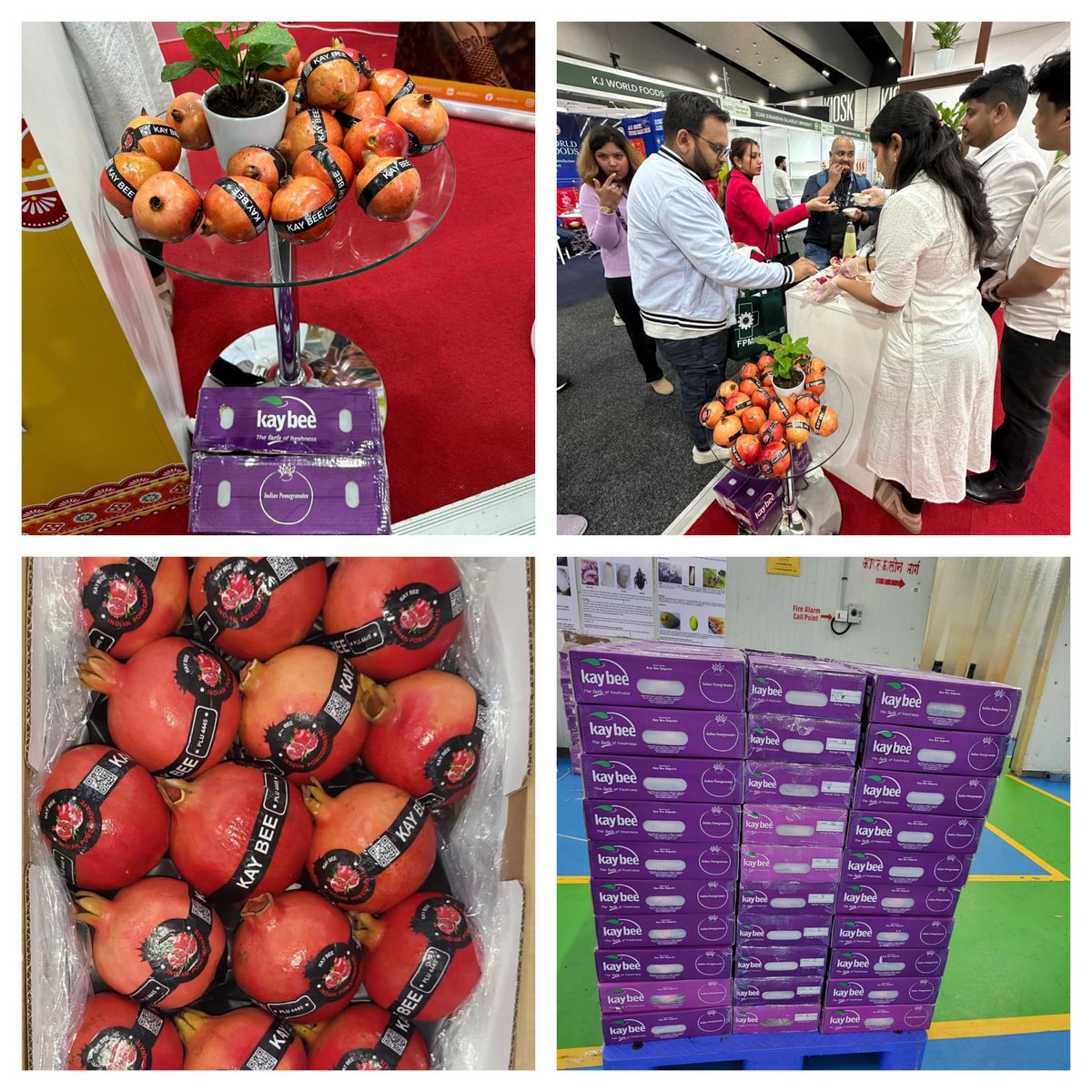 Proud moment for Indian agriculture!
#APEDA has facilitated the first consignment of premium #pomegranates from #Mumbai to Melbourne, #Australia. A big win for our #farmers as Indian fruits make their mark on the global stage. #FarmersFirst #IndianAgriculture #GlobalMarket