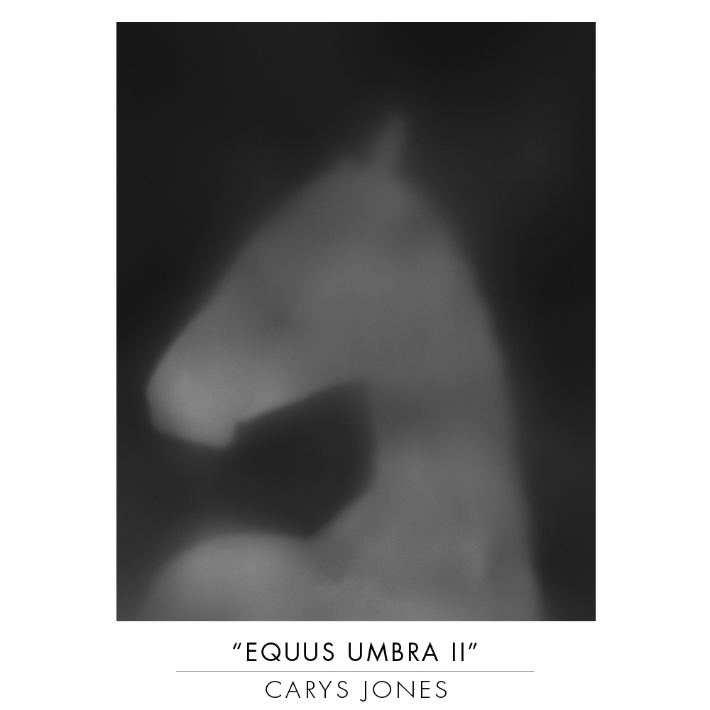 KaterinaMorgan's tweet photo. Carys Jones
"Equus Umbra I" and "Equus Umbra II"
Fine Art Print on Hahnemühle. Photo Rag fine art paper.
Limited edition of 12.
Dated, numbered, signed.
Dimensions: 
60 x 48 cm  £895
100 x 80 cm  £1250
Shipping: from UK
https://t.co/ZjnApo7YiR

#fineart #horses #luxuryhomedecor https://t.co/AcIZUWsoDQ