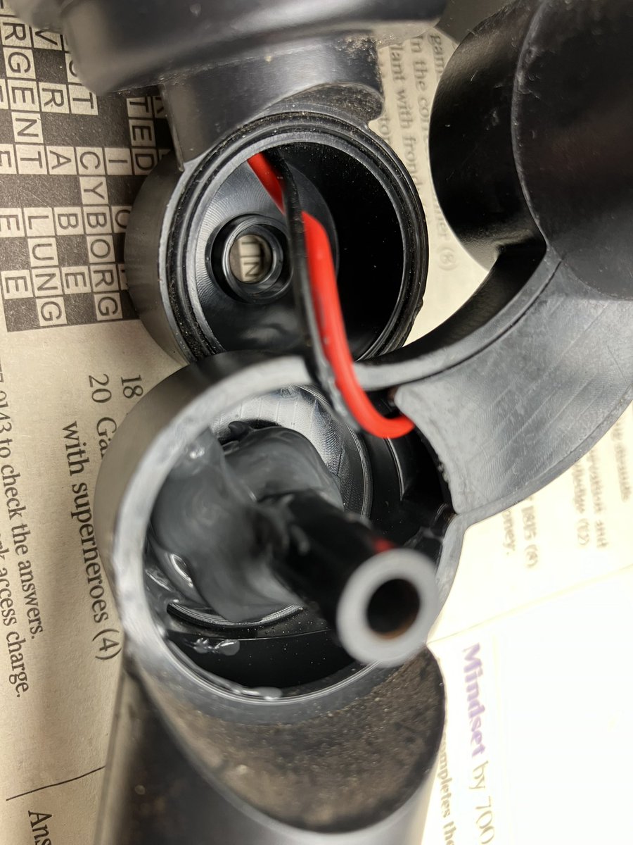 Lynette Nusbacher tweet media