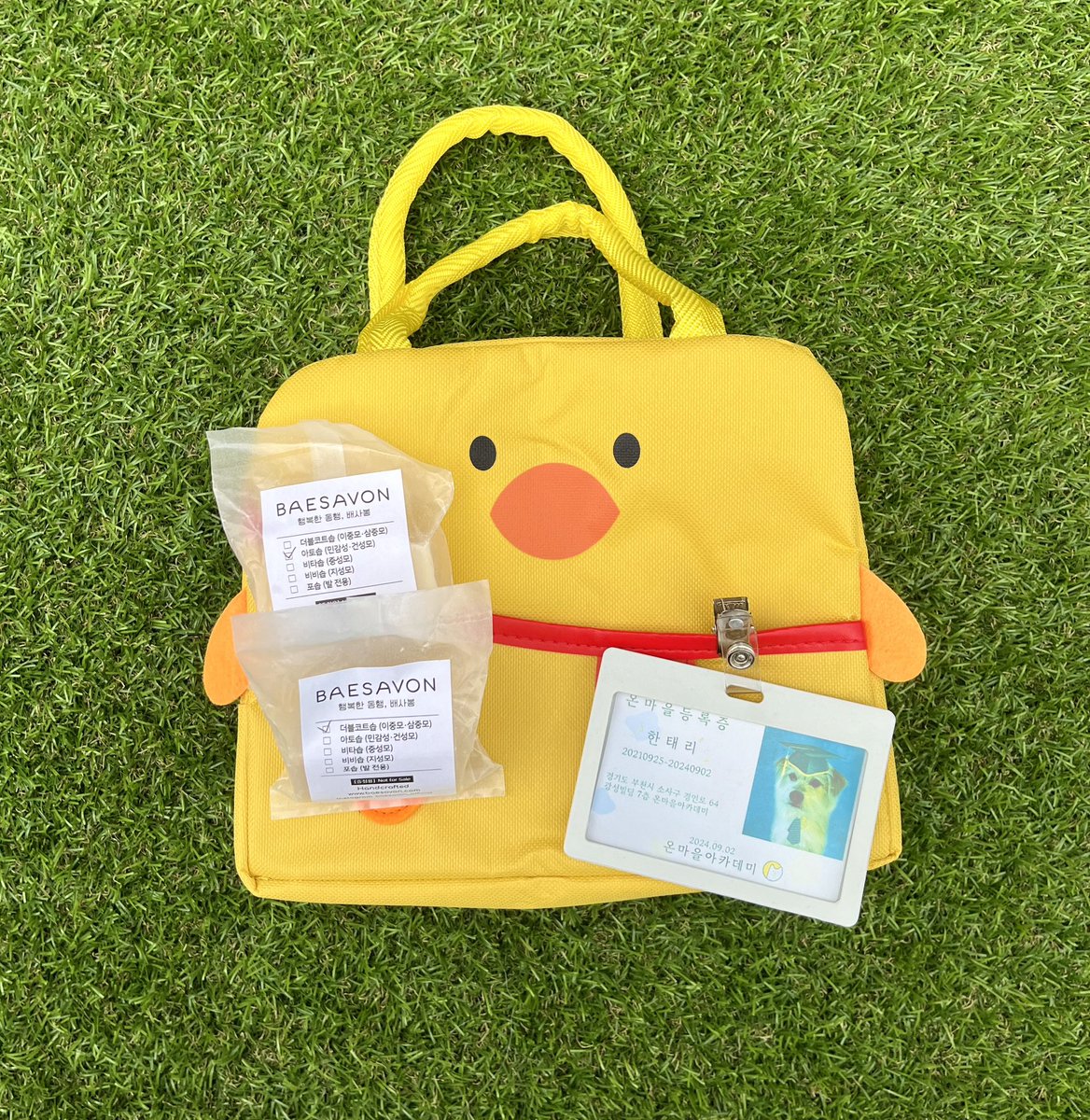 onmaeul_academy's tweet photo. 안녕하세요 온마을 아카데미입니다!🐶
많은 관심에 감동하여 RT이벤트를 준비해봤습니다🥹💕

온마을 계정 팔로우+RT해주신 분들 중 3분을 추첨하여 기프티콘과 온마을 3만원 할인권(비반려인 당첨시 등원가방(보냉백)을 보내드릴게요!

많은 사랑 부탁드려요🥰 https://t.co/Z32mngFIQS