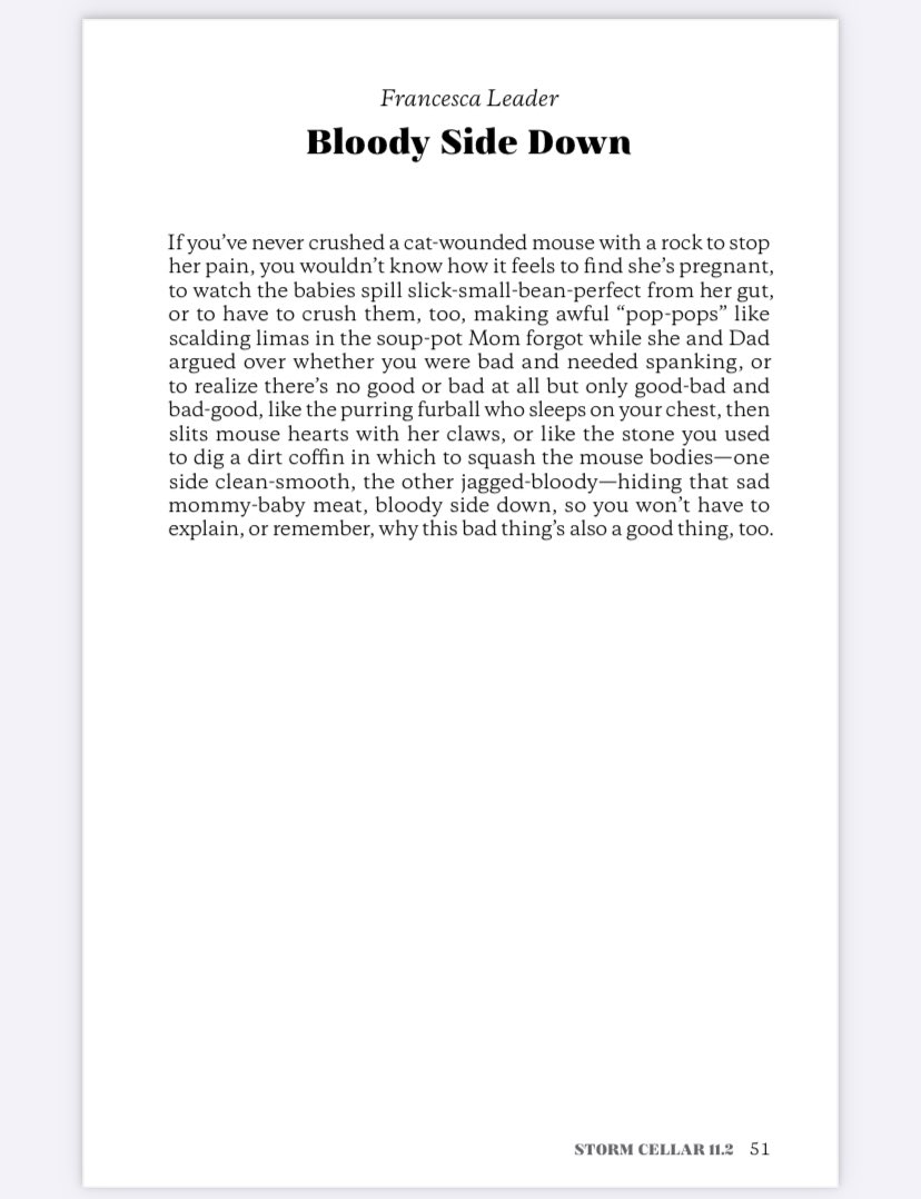 Proud of the little dark flame I contributed to Issue 11.2 of <a href="/stormcellar/">Storm Cellar</a>. Both print and PDF versions of this beautiful journal are now available to purchase on their website 🙏 🖤