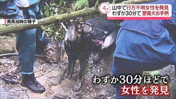 livedoornews's tweet photo. 【表彰】警備犬が山中で行方不明の女性を発見、わずか30分で 東京・青梅市
https://t.co/NzKgXZCbTR

警察官らが捜索したが手がかりが見つからず、「クセノファネス号」が捜索に加わると、わずか30分ほどで女性を発見した。警視庁の警備犬が行方不明となった人を無事発見したのは、20年ぶり。 https://t.co/JoANf7tBiH