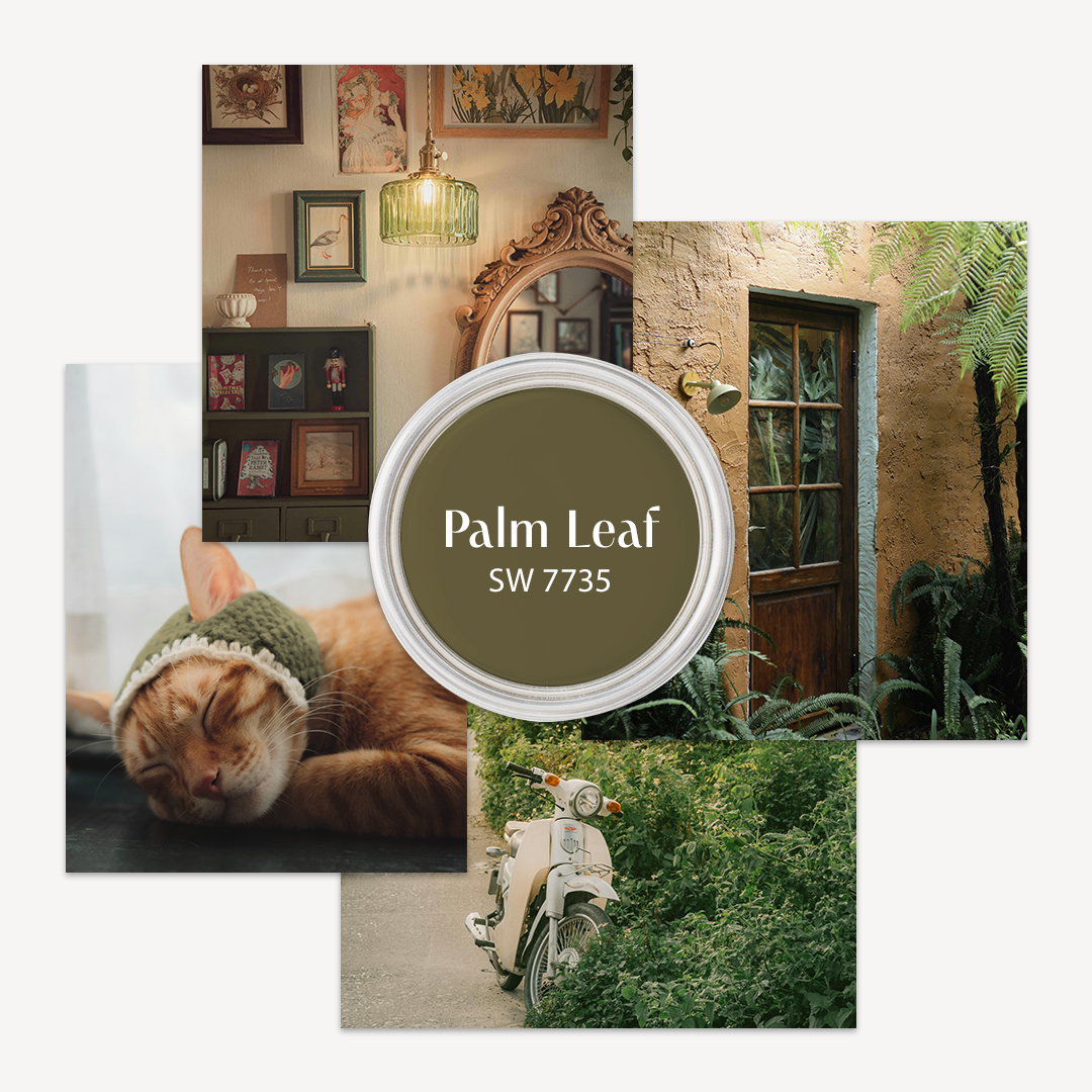 PreguntaSherwin's tweet image. Vintage, nostálgico, versátil.
¿Qué te transmite nuestro color del mes de Septiembre?
SW 7735 Palm Leaf
#colordelmesdeseptiembre #deco #decontendecias #decoracion