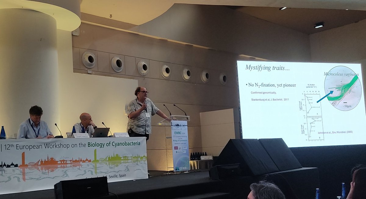 ewbc2024's tweet image. Evolution, Phylogeny and Genomics session is underway... Biocrust rules
