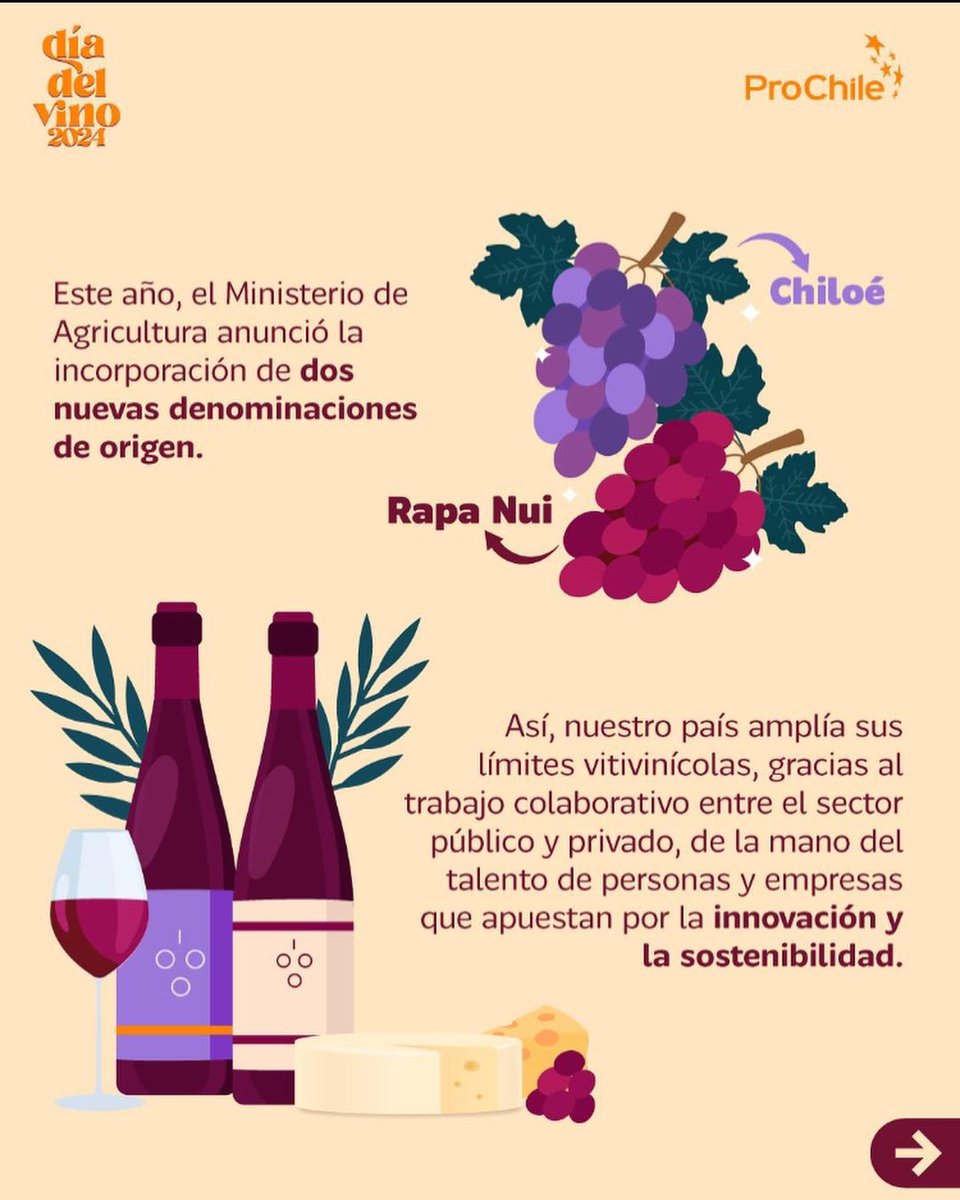 ProChile_T's tweet photo. 🍇Este 4 de septiembre te invitamos a levantar una copa y brindar por la rica historia vitivinícola de Chile, por nuestras cepas únicas y por las generaciones que han hecho posible que el vino chileno sea un verdadero embajador de nuestro país. #DíadelVinoChileno🍷 https://t.co/tvanAS8yeT