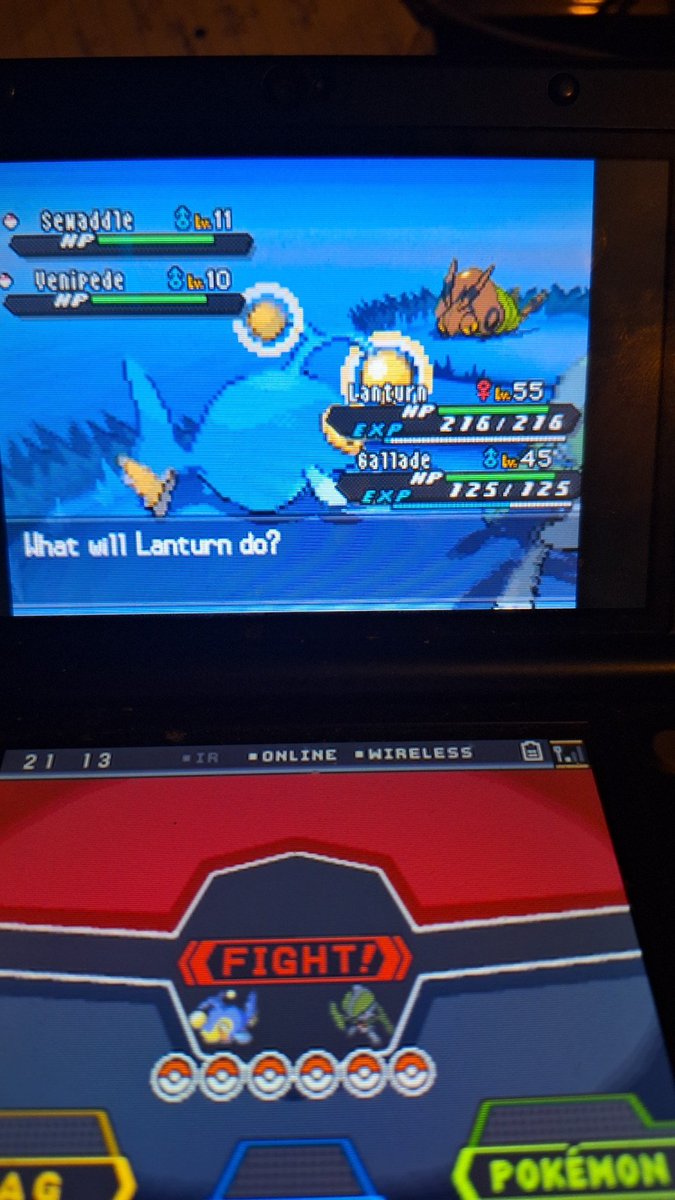 1amnod's tweet image. Shiny Venipede after 3,162 RE!