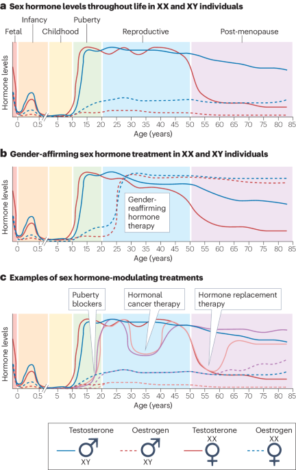 NatRevImmunol's tweet photo. Immunological studies in trans-individuals undergoing gender affirming hormone therapy https://t.co/ndIujOnOV3 https://t.co/QcViEtFXoK