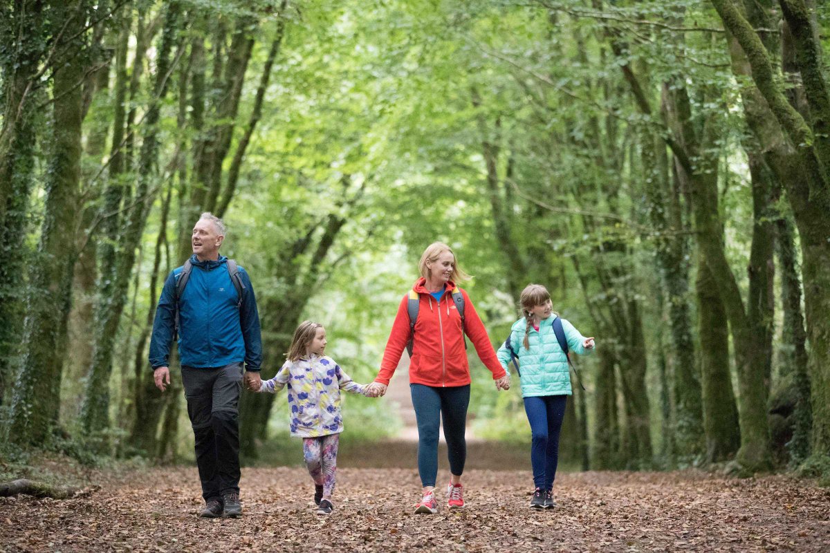 Take the Family on a stroll around John O'Sullivan Park on your Autumn Break in Ennis 🍂

For more information ask our Reception Team during your stay with us!

templegatehotel.com